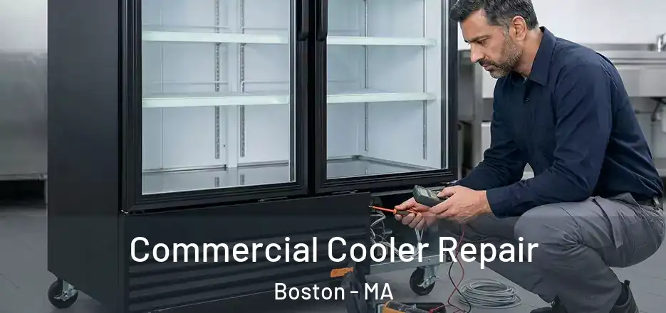  Commercial Cooler Repair Boston - MA
