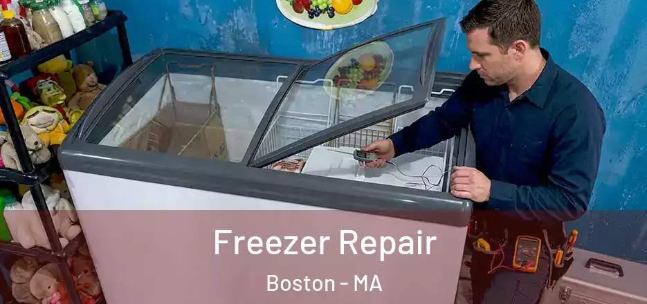  Freezer Repair Boston - MA
