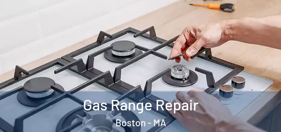  Gas Range Repair Boston - MA