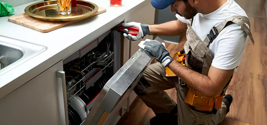 Same Day Dishwasher Not Draining Repair in Boston