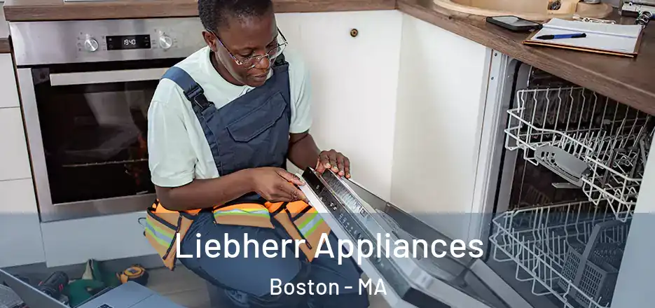  Liebherr Appliances Boston - MA