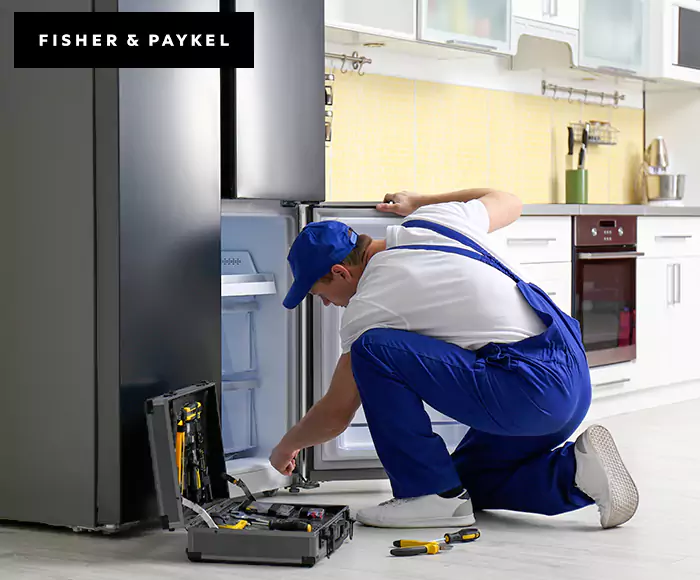 Top-Rated Fisher & Paykel Appliance Experts: Your Brand Specialist in Boston, MA